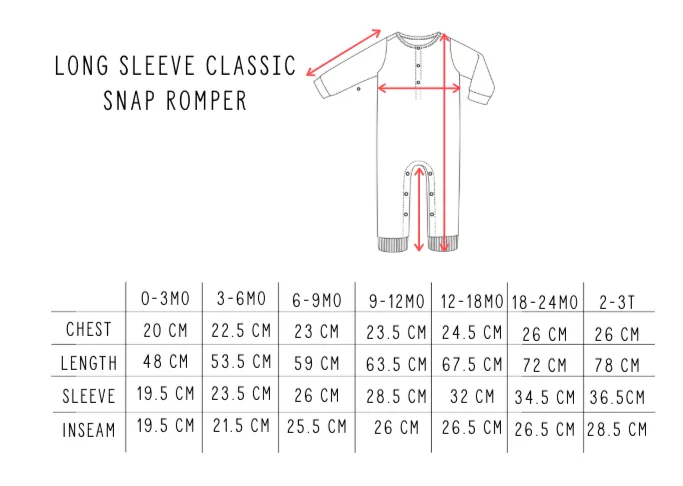 Little Bipsy - Long Sleeve Classic Snap Romper in Grey (Size 6-9mo)